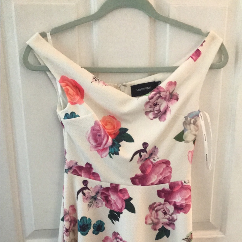 Mink Pink dress